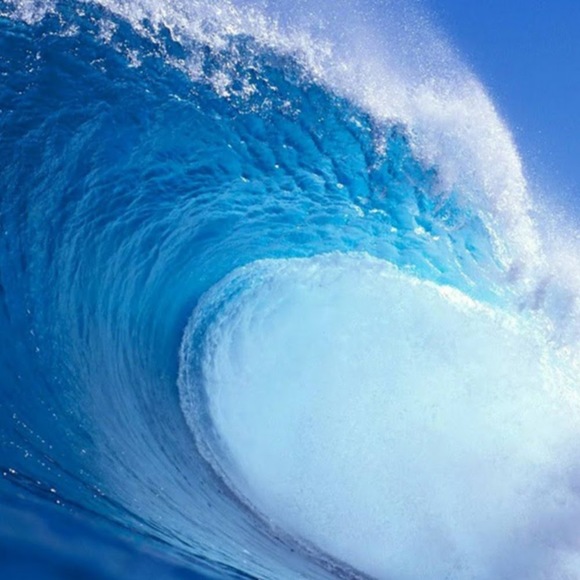 Meet your Posher, Marc - Picture 1 of 1